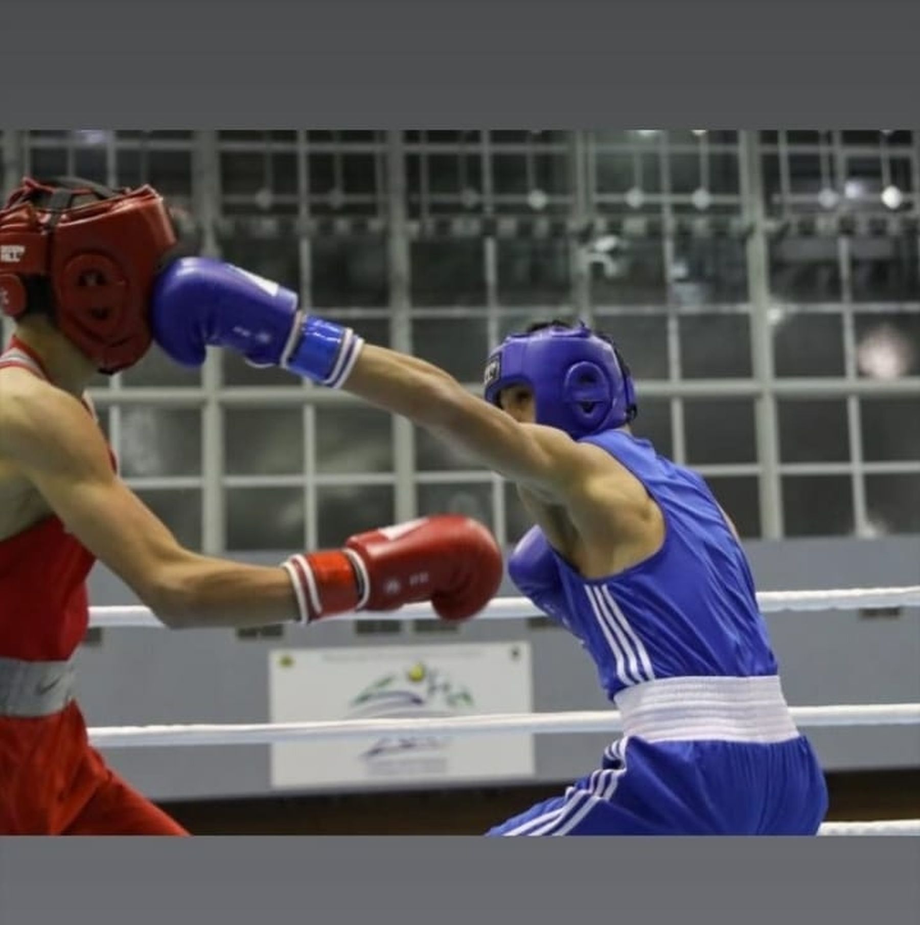 România are doi campioni europeni la box! Alți doi ieșeni sunt vicecampioni