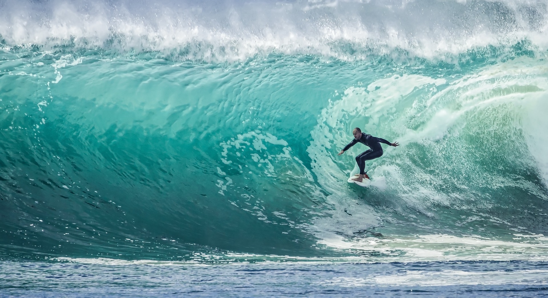 Surfingul în Australia face victime! Atacul unui rechin a provocat moartea unui sportiv. Cum se prezintă statistica deceselor din această cauză