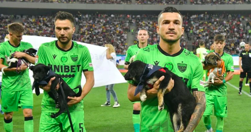 RĂZVAN TOMA / OPINIE DUPĂ ETAPA A 15-A. GATA CU TURUL SEZONULUI REGULAR