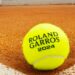 Cine transmite la TV turneul de tenis Roland Garros 2024