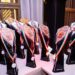 Campionatul Național de Karting: iată galeria laureaților ediției 2024!
