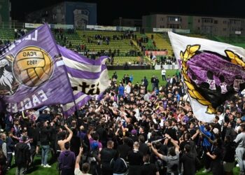 OPINIE / Narcis Drejan scrie despre promovarea echipei FC Argeș: S-au întors “alb-violeții”!