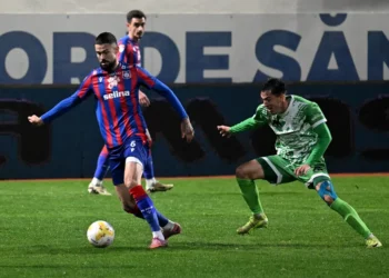 Inspirație de pe bancă. Neicuțescu, omul golurilor decisive