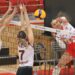 Victorii clare pentru echipele de volei Dinamo București