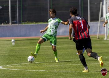 Planuri de play-off. Puncte și achiziții pentru Concordia Chiajna